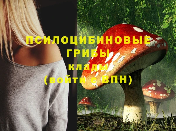 дурь Иннополис