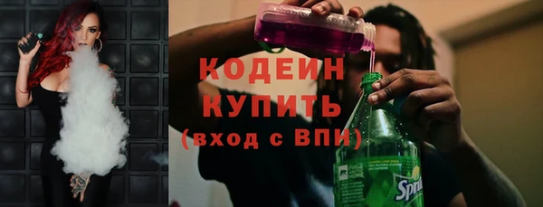 твердый Инта
