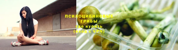 твердый Инта