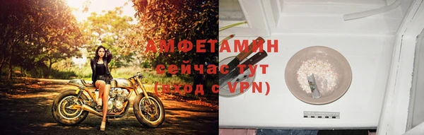 твердый Инта