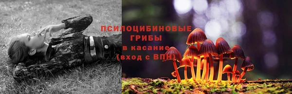 круглые Каменногорск
